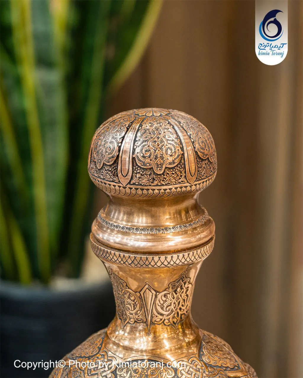 تصویر بندانگشتی 3